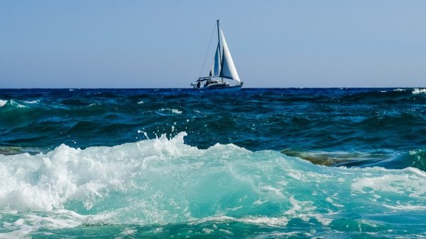 Живое море