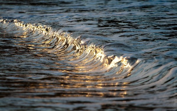Анимация моря воды