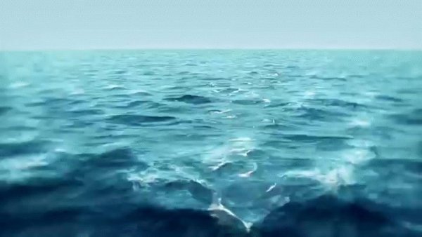Прыжок в море девушка