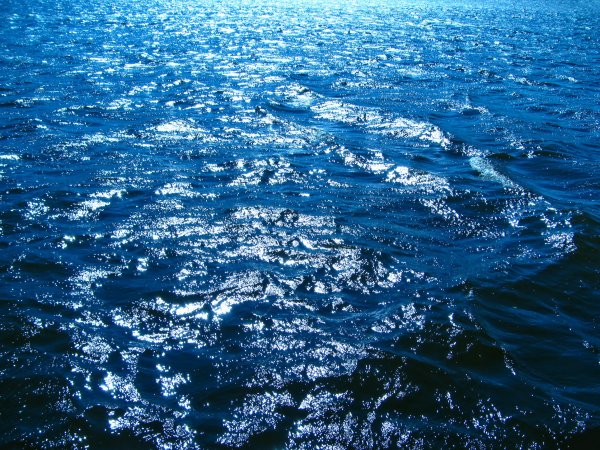 Поверхность океана