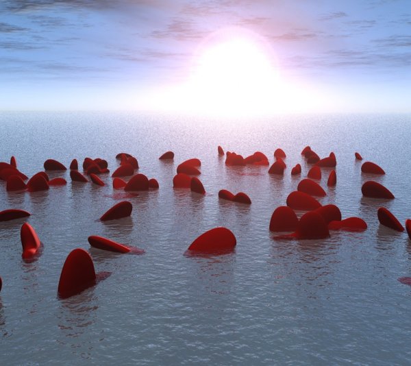 Сердечко на песке