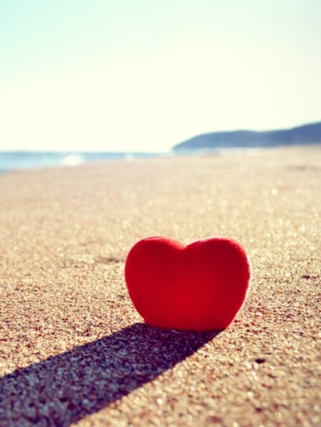 В сердце моря