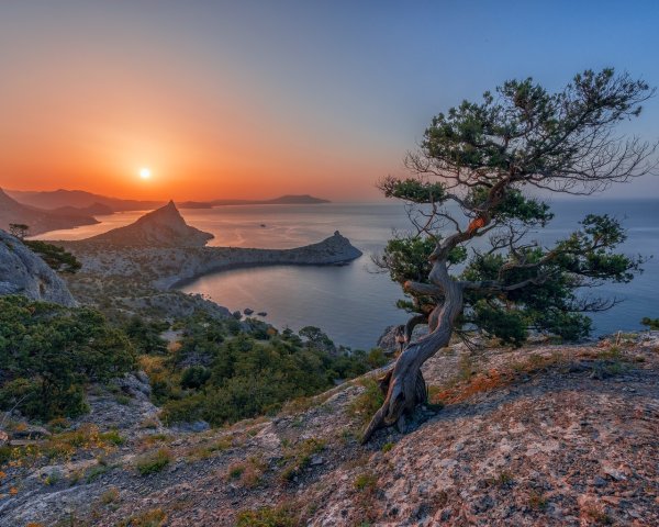 Берег Крыма горы сосны