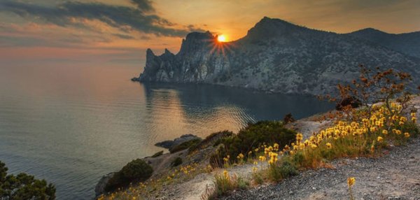 Парадиз новый свет Крым