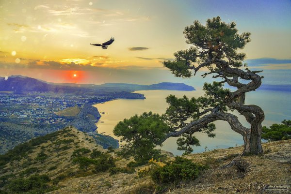 Крым море и горы на закате