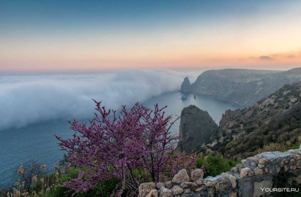 Скала Иван разбойник Карадаг