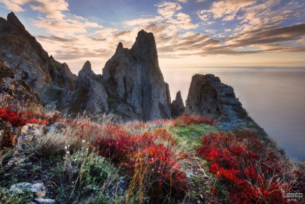 Утро лето жара Крым