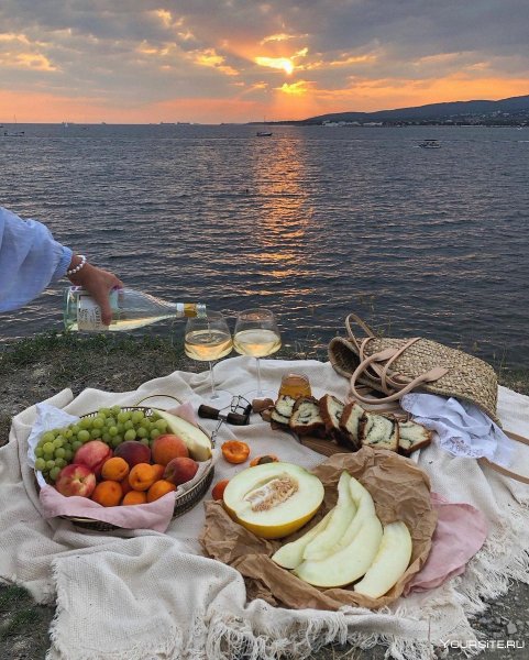 Пикник на море фото