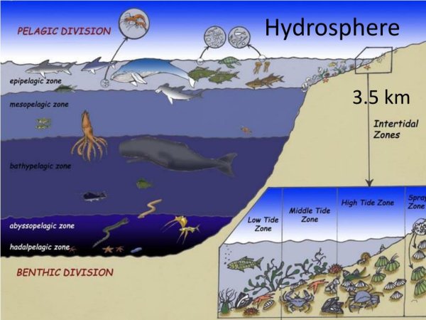Зоны в морях и океанах