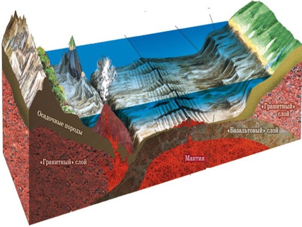 Строение дна мирового океана Геология