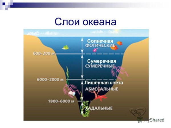 Глубинные слои океана