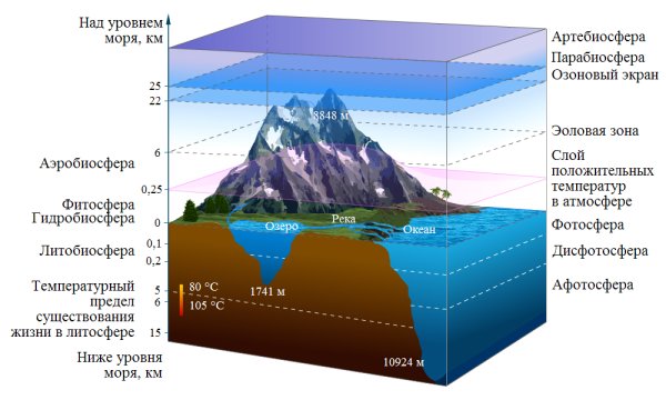 Элементы рельефа дна мирового океана