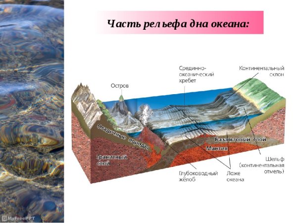 Афотическая зона океана