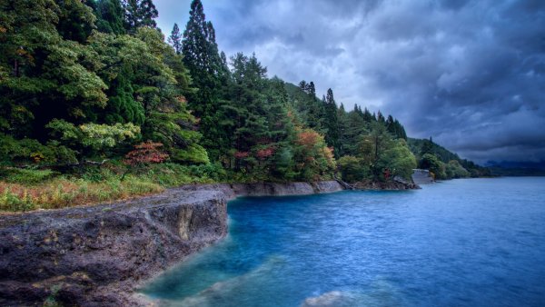 Крым сосны горы море Песчаное