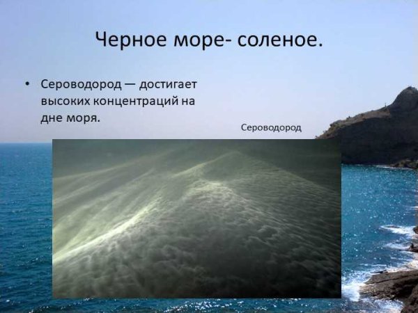 Чёрное море сероводородный слой