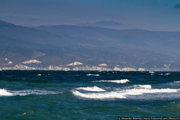 Черное море Новороссийск лето