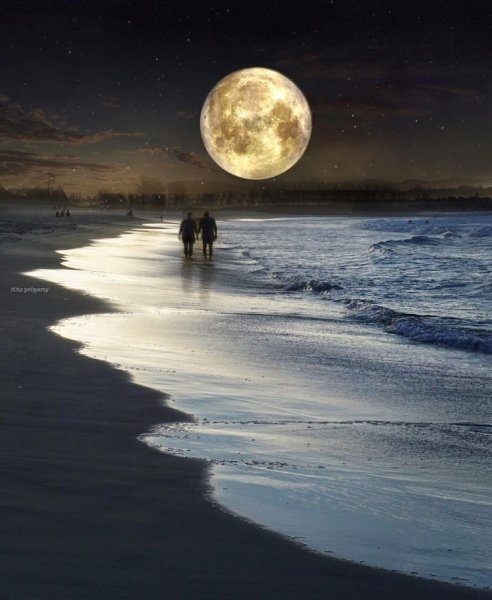 Лунная ночь