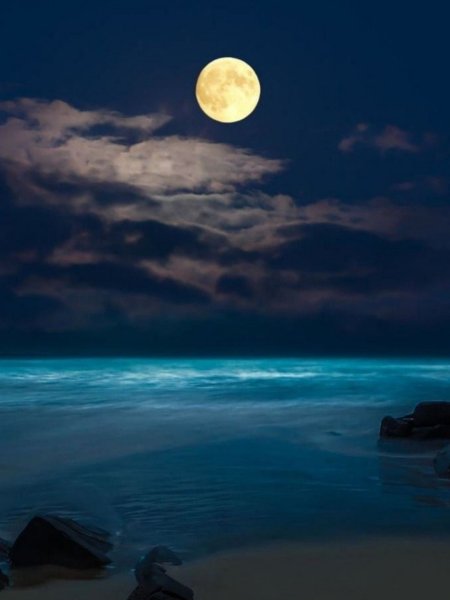 Ночь в море