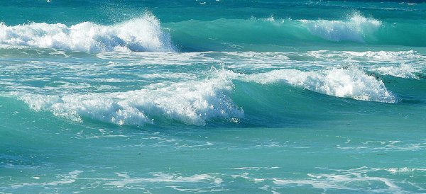 Живая волна