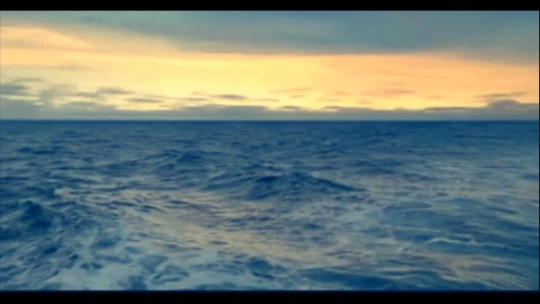 Море волны птицы