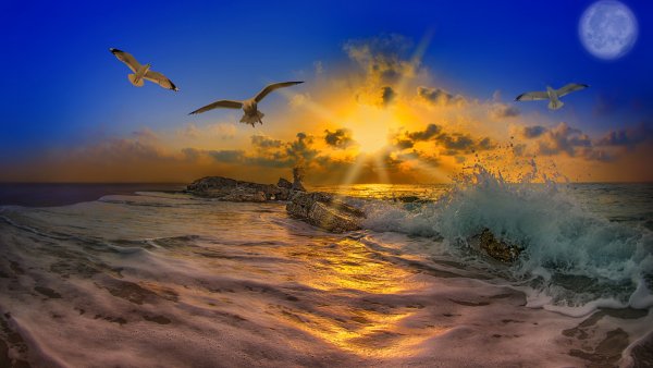 Морской Прибой Евпатория