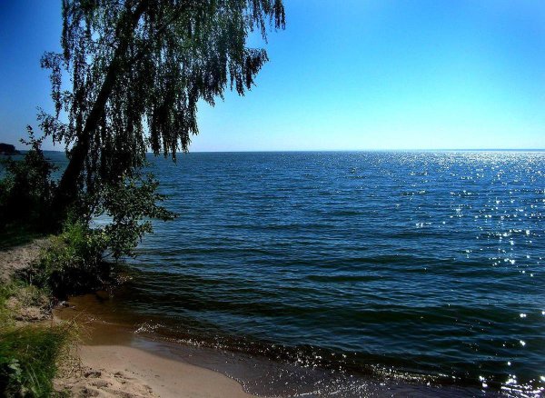 Обское водохранилище Новосибирск