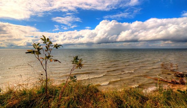 Обское море Новосибирск