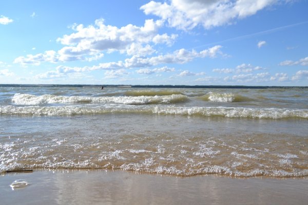 Берег Обского моря Новосибирск
