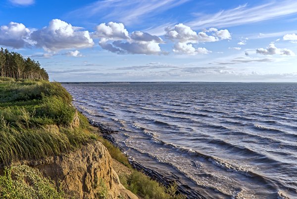 Обское водохранилище Новосибирск