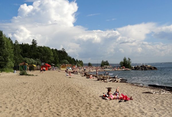 Обское водохранилище Новосибирская область