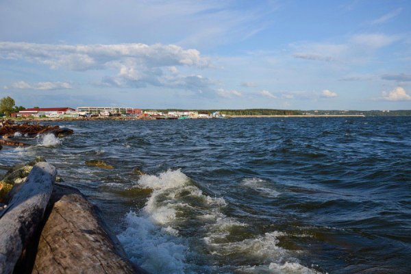 Обское водохранилище Бердск