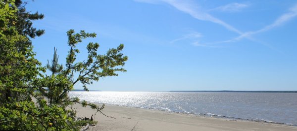 Пляж Бумеранг Обское море