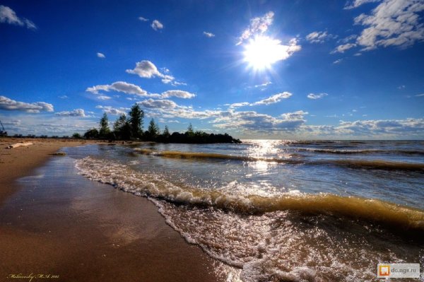 Коса Новосибирск Обское море