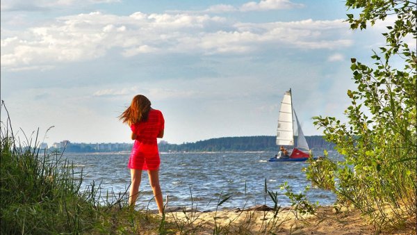 Берег Обского моря Бердск