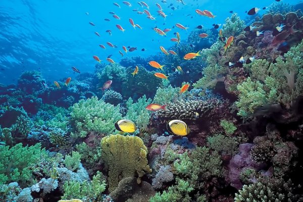 Санья Хайнань Китай