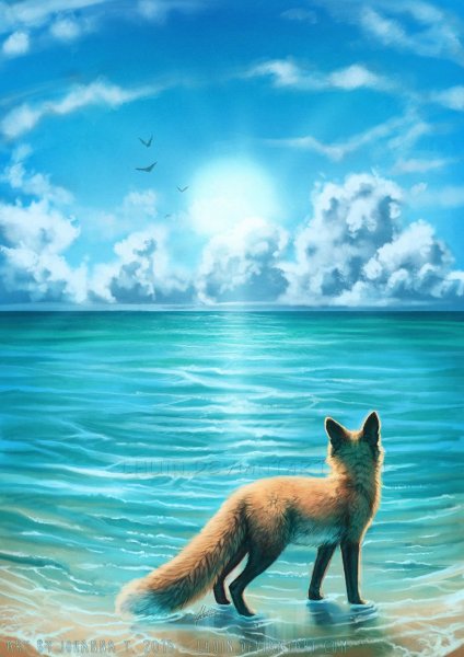 Лис на море