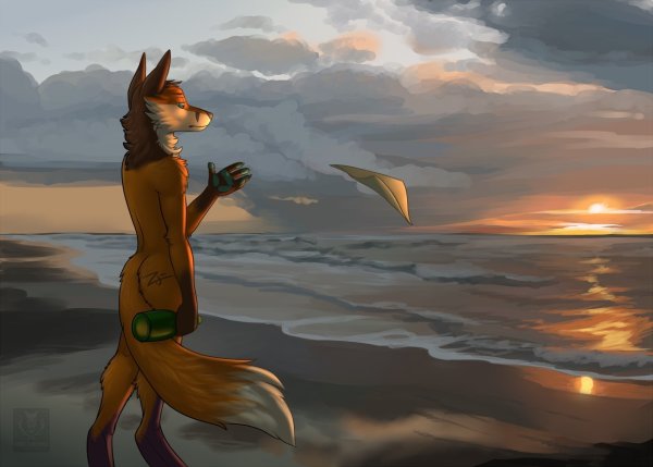 Фурри закат