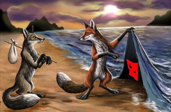 Лисы арт Culpeo Fox