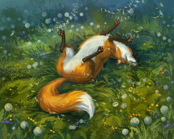 Летняя лиса арт