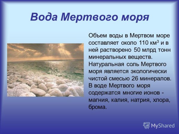 Мёртвое море сообщение кратко