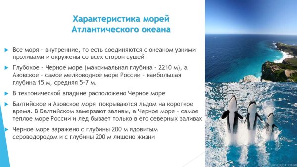 Красное море самое солёное