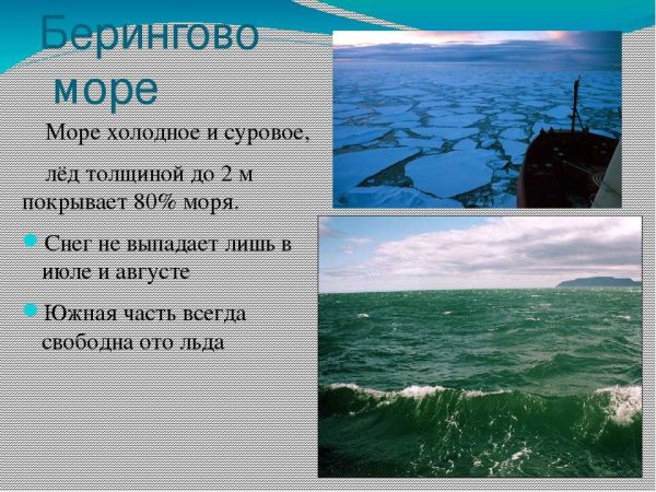 Рассказ о черном море
