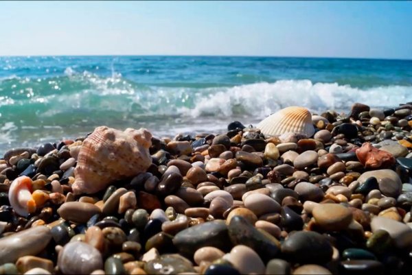 Черное море пляж Сочи