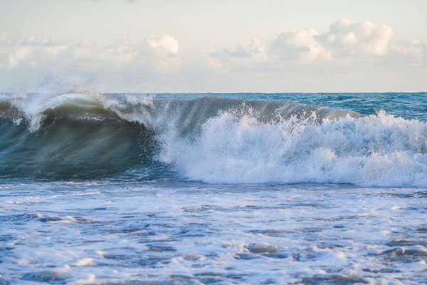 Берег черного моря Сочи