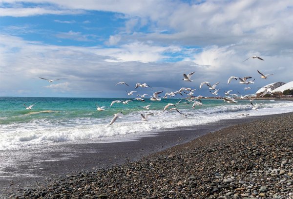 Черное море Сочи