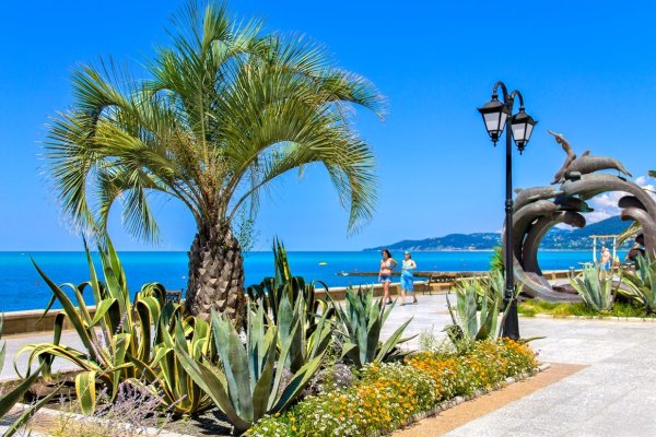 Берег черного моря Лазаревское