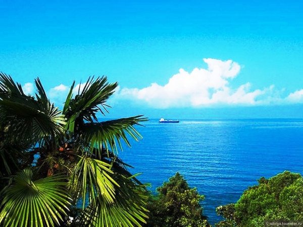 Сочи вид на море