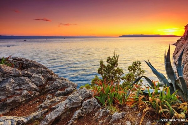 Побережье пейзаж