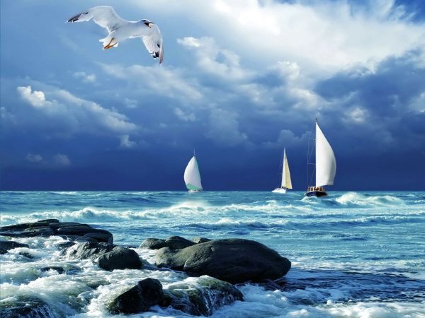 Красивая природа море