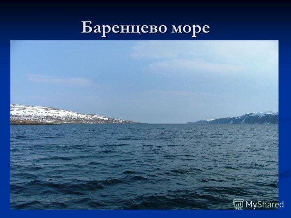 Баренцево море окружающий мир